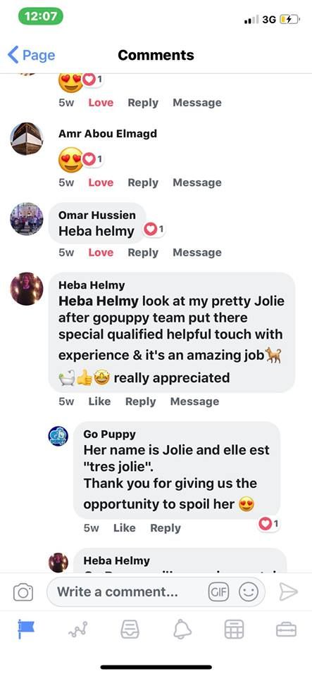 customer review