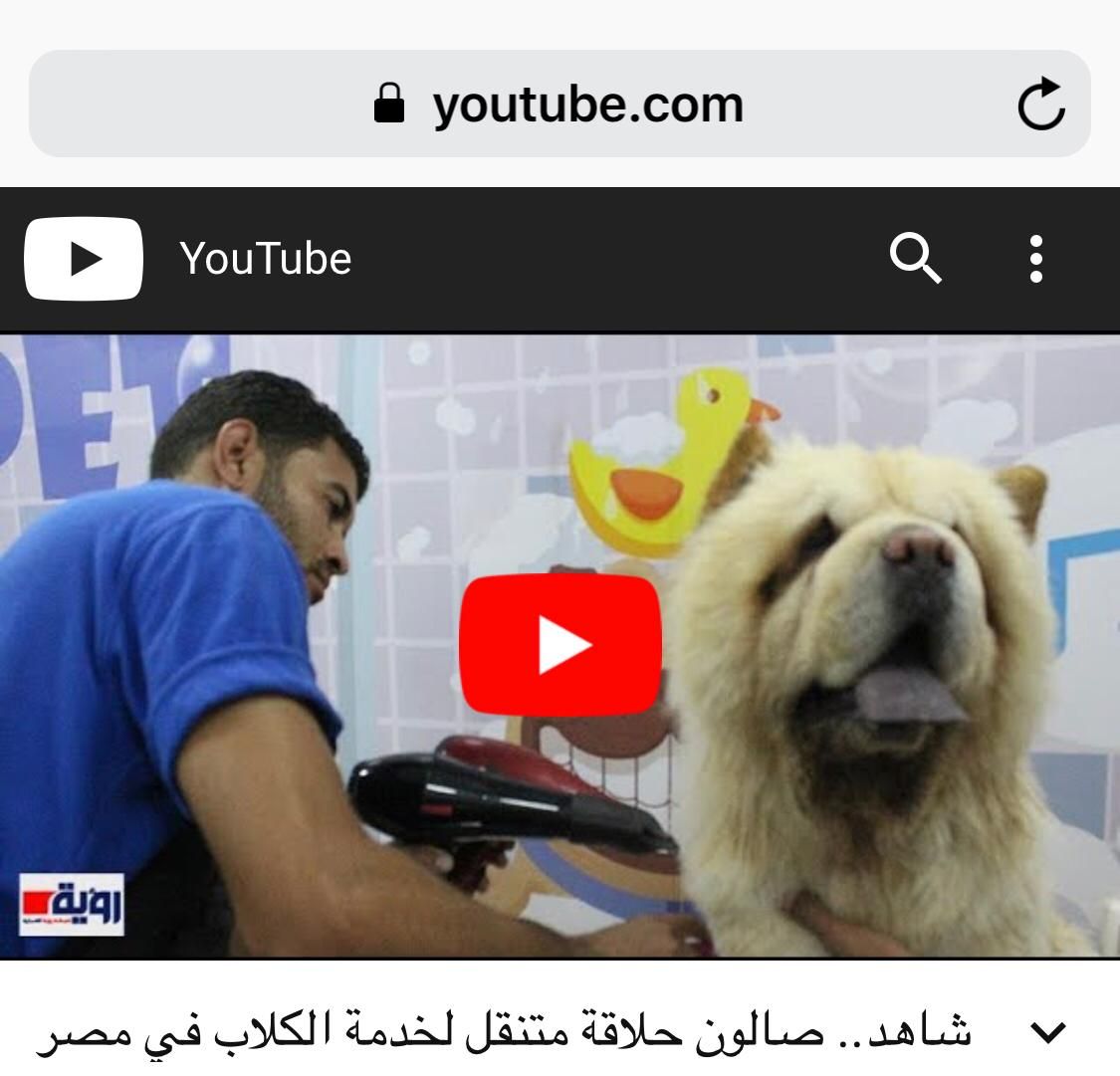 customer review