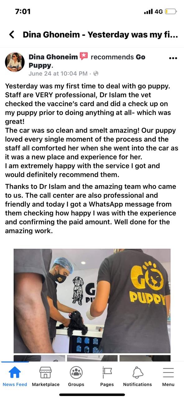 customer review