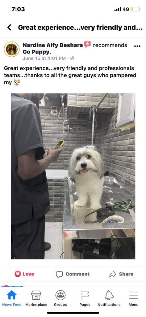 customer review