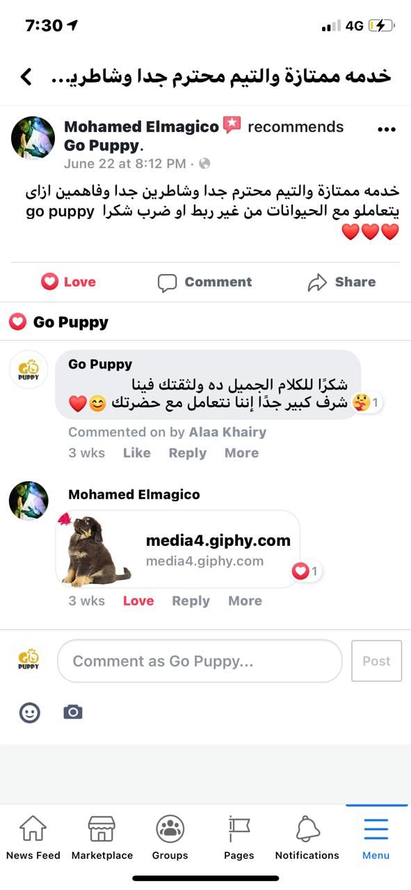 customer review