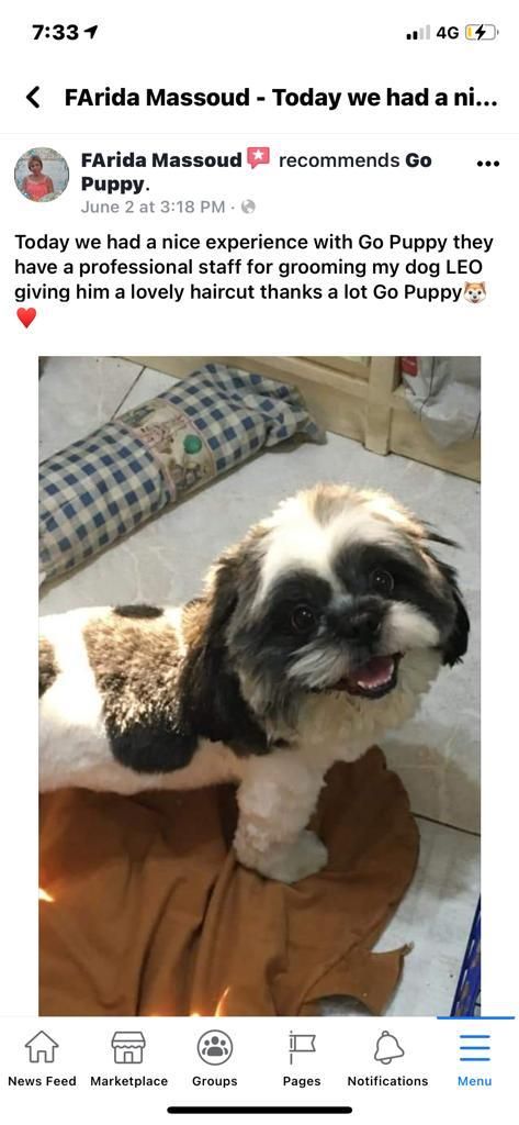 customer review
