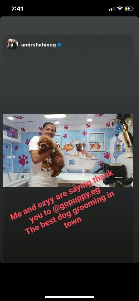 customer review