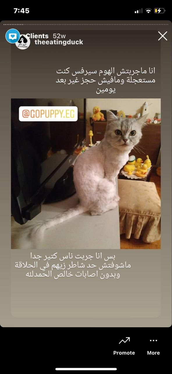 customer review